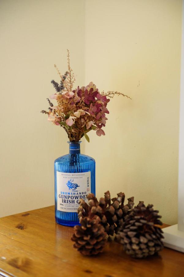 Waterfront Self Catering Houses Carrick on Shannon Zewnętrze zdjęcie
