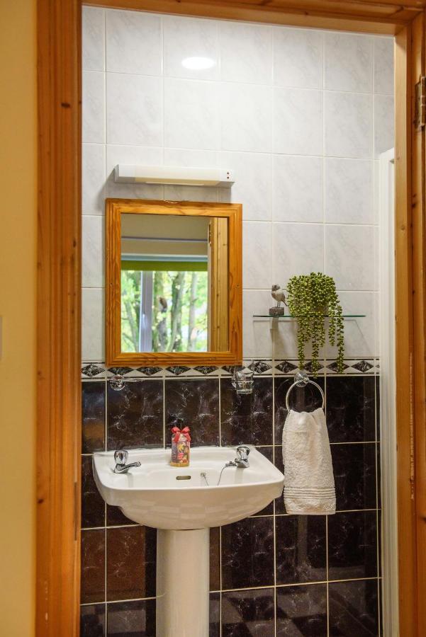 Waterfront Self Catering Houses Carrick on Shannon Zewnętrze zdjęcie